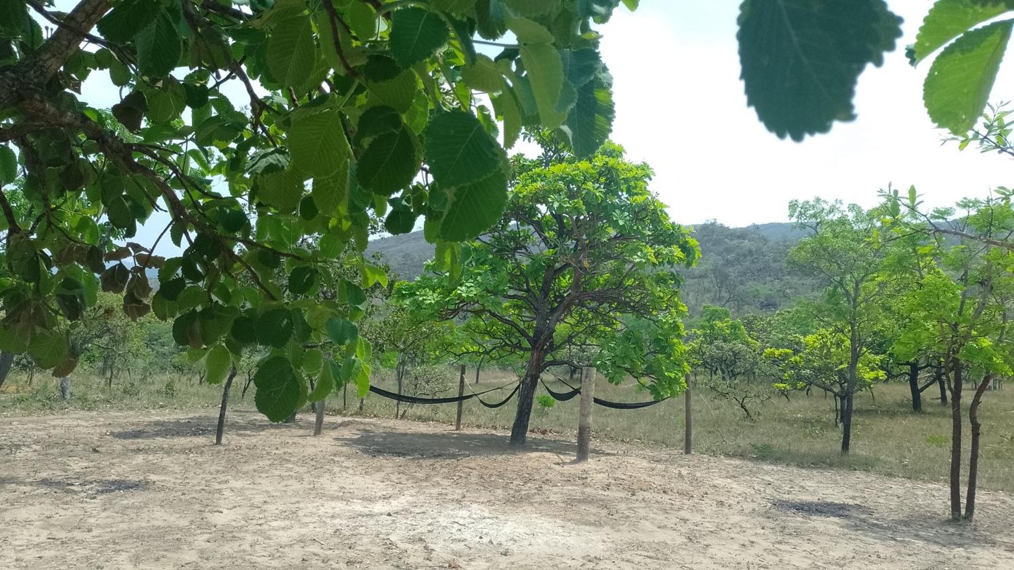 Pousada Solar Da Canastra Delfinópolis エクステリア 写真